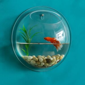 DDSS Wall Mount Hanging Acrylic Aquarium Bowl