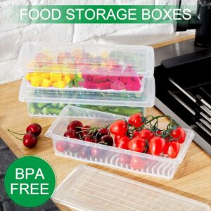 allwin houseware w fridge storage boxes